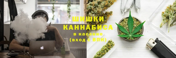 PSILOCYBIN Баксан