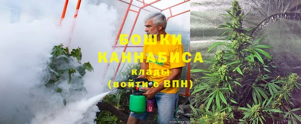 PSILOCYBIN Баксан