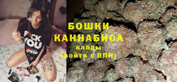 PSILOCYBIN Баксан