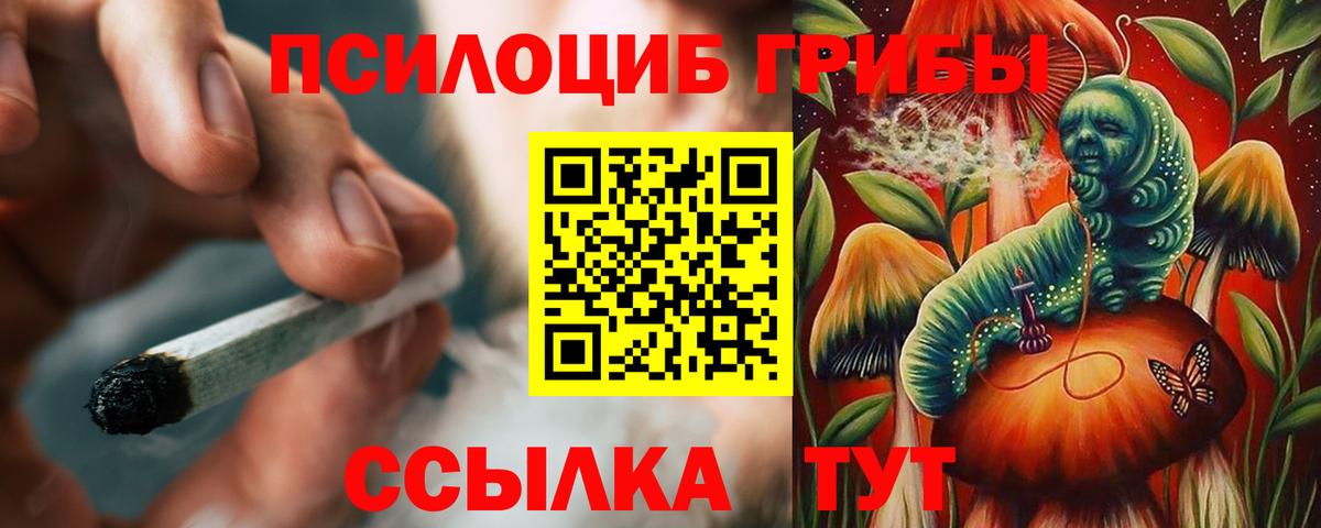Корсаков  Псилоцибиновые грибы Psilocybine cubensis  Вход с VPN 